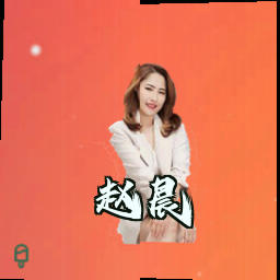 赵晨