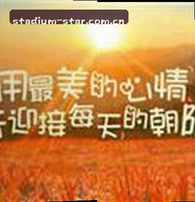 王磊